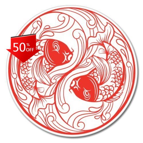Koi Fish Yin Yang Unique Campe - đánh giá và giá Laptop Unique Accessories
